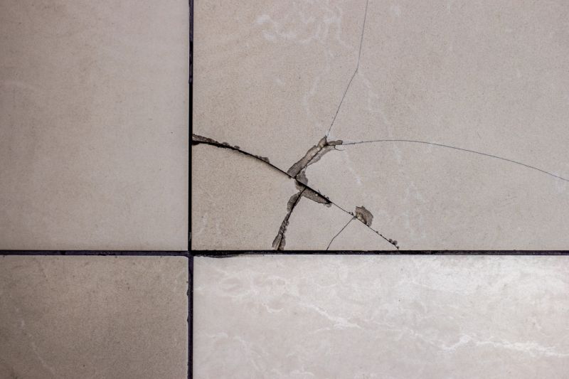 Tile Repair Service
